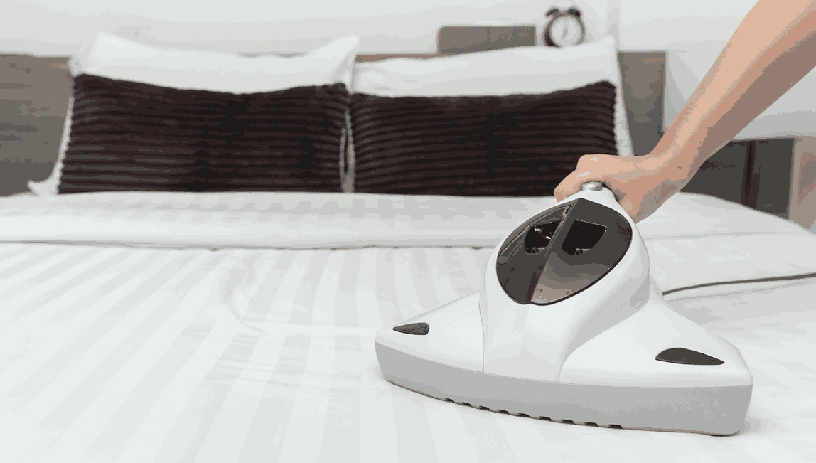Professional Mattress Cleaning Magpie
